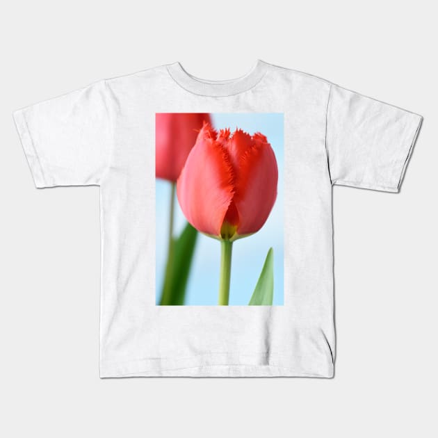 Tulipa  &#39;Crystal Beauty&#39;   Fringed Tulip Kids T-Shirt by chrisburrows